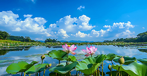 紅(hong)色西柏坡-沕沕水生(sheng)态2日(ri)遊